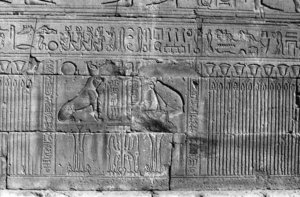 Photo »190« of the Edfu-Project.