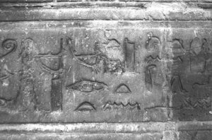 Photo »3886« aus dem Edfu-Projekt.