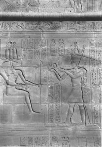 Photo »4327« aus dem Edfu-Projekt.