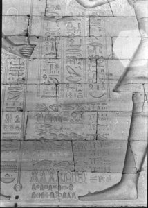Photo »1045« aus dem Edfu-Projekt.