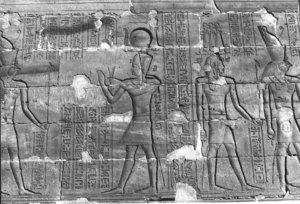 Photo »259« aus dem Edfu-Projekt.