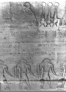 Photo »3068« aus dem Edfu-Projekt.