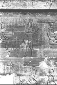 Photo »404« aus dem Edfu-Projekt.