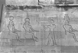 Photo »4357« aus dem Edfu-Projekt.