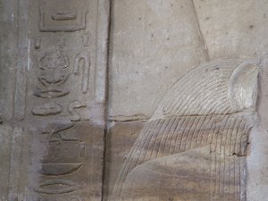 Photo »D05_4171« of the Edfu-Project.