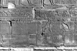 Photo »195« of the Edfu-Project.