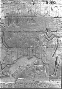 Photo »589« of the Edfu-Project.