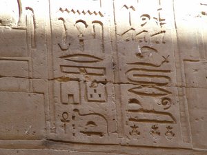 Photo »D05_1771« aus dem Edfu-Projekt.