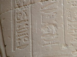 Photo »D05_5004« of the Edfu-Project.