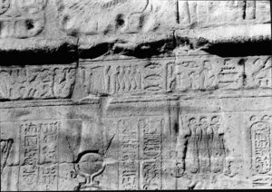 Photo »2118« aus dem Edfu-Projekt.