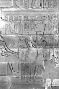 Photo »4078« aus dem Edfu-Projekt.
