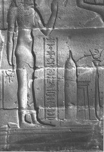 Photo »4119« aus dem Edfu-Projekt.