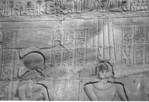 Photo »4427« aus dem Edfu-Projekt.