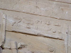Photo »D05_4223« of the Edfu-Project.