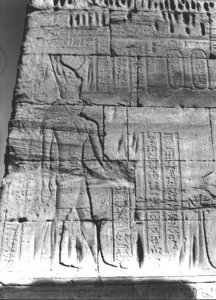 Photo »2606« of the Edfu-Project.