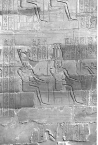 Photo »4199« aus dem Edfu-Projekt.
