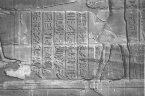 Photo »4269« aus dem Edfu-Projekt.