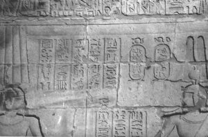 Photo »4426« aus dem Edfu-Projekt.