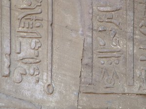 Photo »D05_4209« of the Edfu-Project.