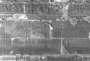 Photo »230« aus dem Edfu-Projekt.