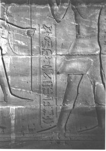Photo »4044« aus dem Edfu-Projekt.