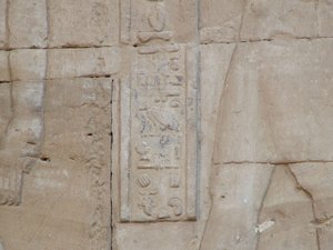 Photo »D05_5158« of the Edfu-Project.