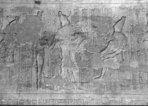 Photo »2042« of the Edfu-Project.