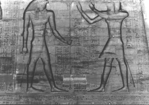 Photo »2890« of the Edfu-Project.