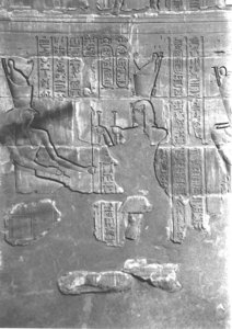 Photo »4053« aus dem Edfu-Projekt.