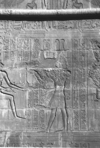 Photo »4262« aus dem Edfu-Projekt.