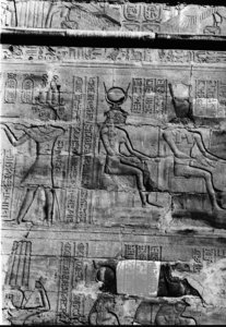 Photo »468« aus dem Edfu-Projekt.