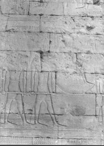 Photo »832« of the Edfu-Project.