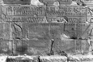 Photo »205« of the Edfu-Project.