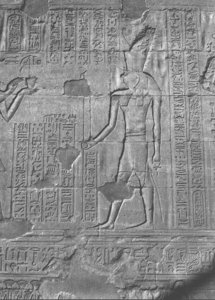 Photo »2230« aus dem Edfu-Projekt.