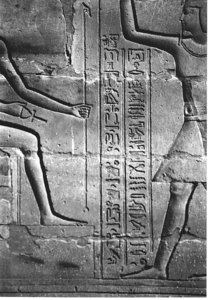 Photo »4032« aus dem Edfu-Projekt.
