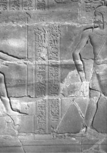 Photo »4393« of the Edfu-Project.