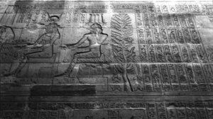 Photo »1400« aus dem Edfu-Projekt.
