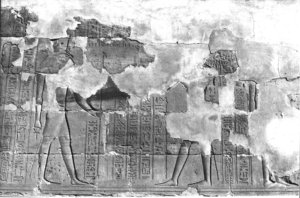 Photo »318« aus dem Edfu-Projekt.