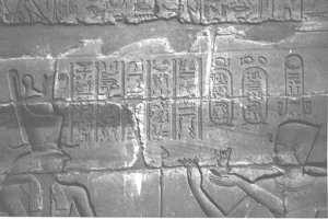 Photo »4283« aus dem Edfu-Projekt.
