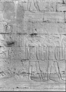 Photo »831« of the Edfu-Project.