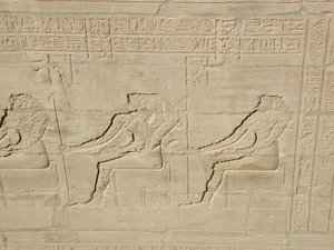 Photo »D03_0876« aus dem Edfu-Projekt.