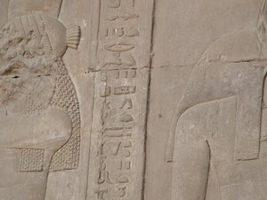 Photo »D05_5477« of the Edfu-Project.