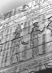 Photo »3555« aus dem Edfu-Projekt.