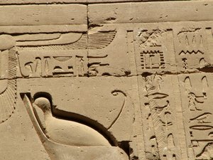 Photo »D05_1354« aus dem Edfu-Projekt.