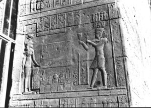 Photo »2716« aus dem Edfu-Projekt.