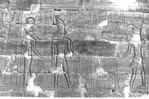 Photo »280« aus dem Edfu-Projekt.