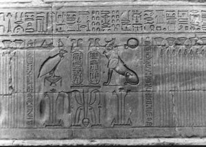Photo »2026« aus dem Edfu-Projekt.