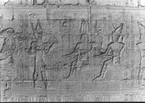 Photo »2135« aus dem Edfu-Projekt.