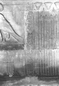 Photo »3955« of the Edfu-Project.