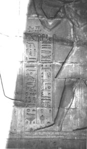 Photo »4172« aus dem Edfu-Projekt.